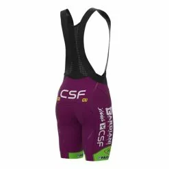 ALE Completo Bardiani CSF Faizanè Pro Team 2022 PR-System Viola -Negozio online Maglie ciclismo Italia ale r22267067 002